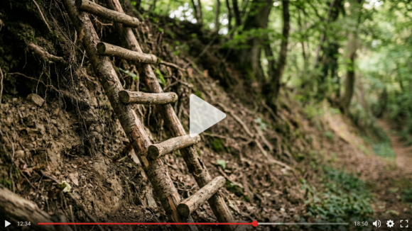 Video bei YouTube ansehen Das Bild zeigt einen Videoausschnitt eines Hohlweges im Wald.
